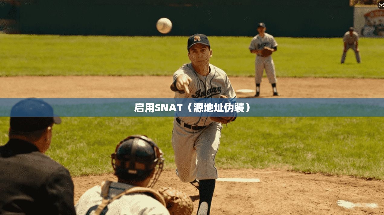 启用SNAT（源地址伪装）