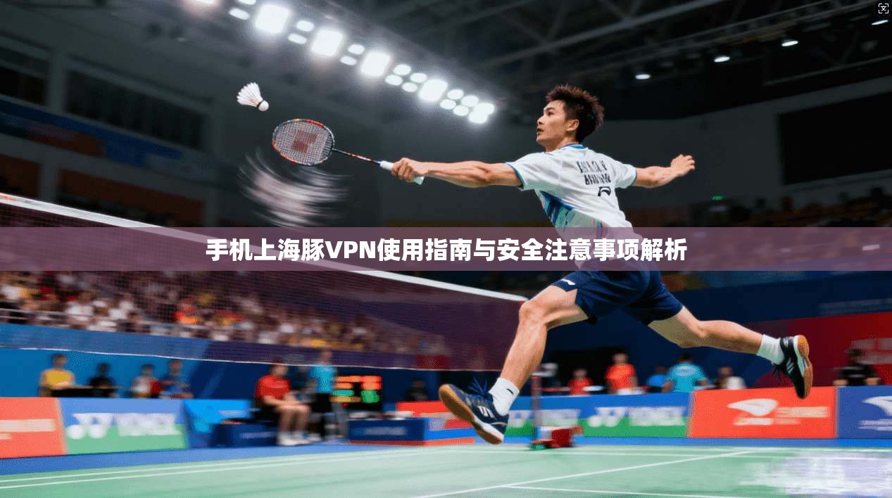 手机上海豚VPN使用指南与安全注意事项解析
