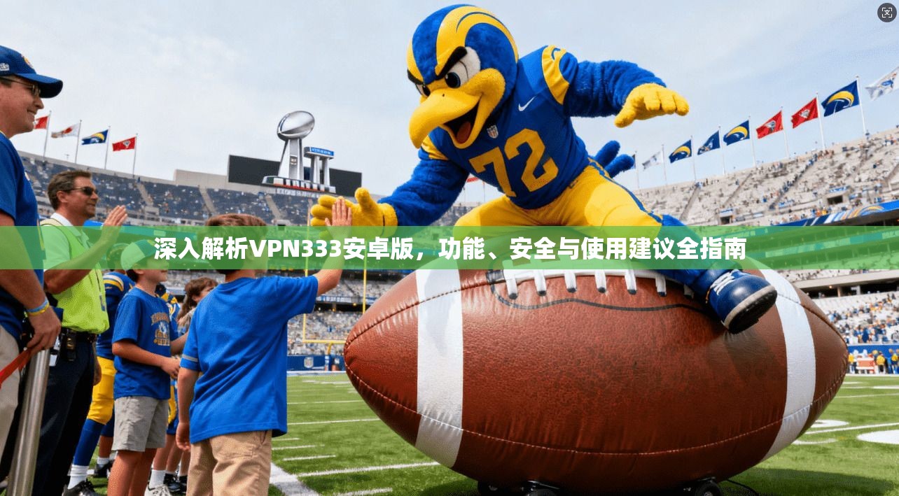 深入解析VPN333安卓版，功能、安全与使用建议全指南