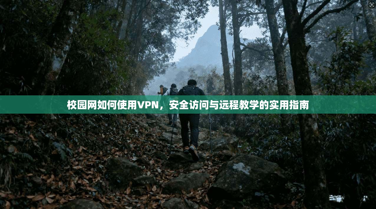 校园网如何使用VPN，安全访问与远程教学的实用指南