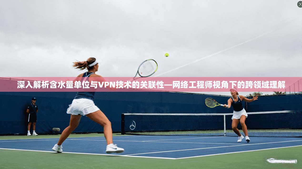 深入解析含水量单位与VPN技术的关联性—网络工程师视角下的跨领域理解