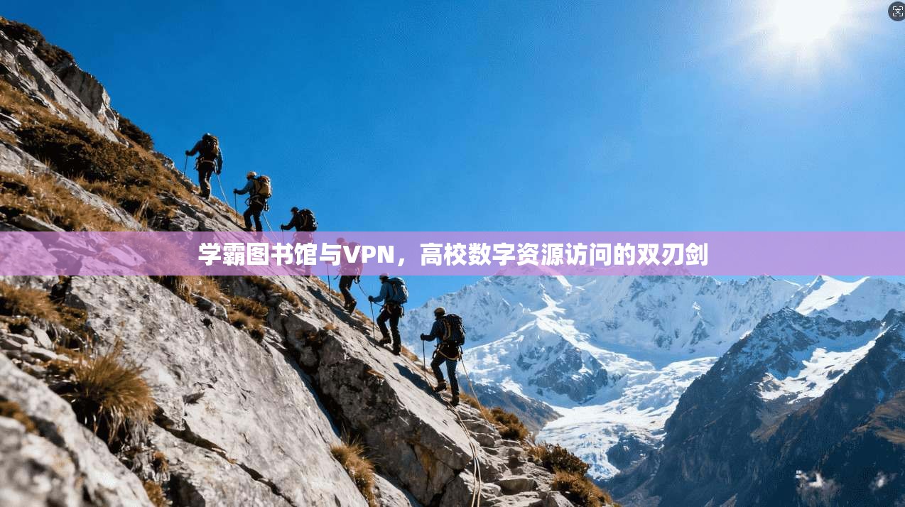 学霸图书馆与VPN，高校数字资源访问的双刃剑