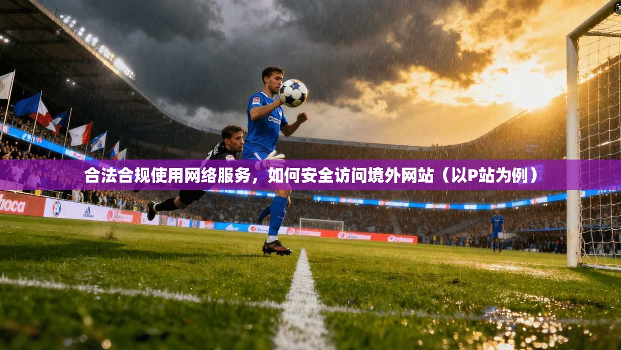 合法合规使用网络服务，如何安全访问境外网站（以P站为例）