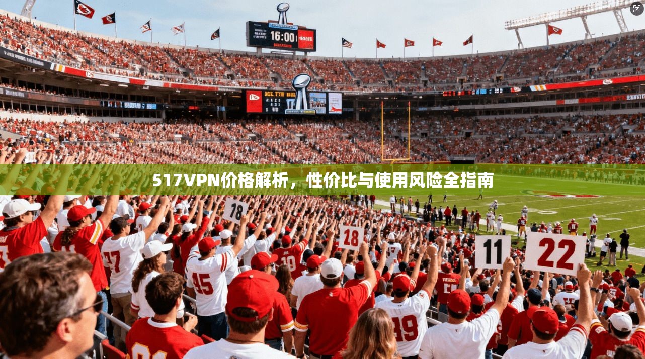 517VPN价格解析，性价比与使用风险全指南