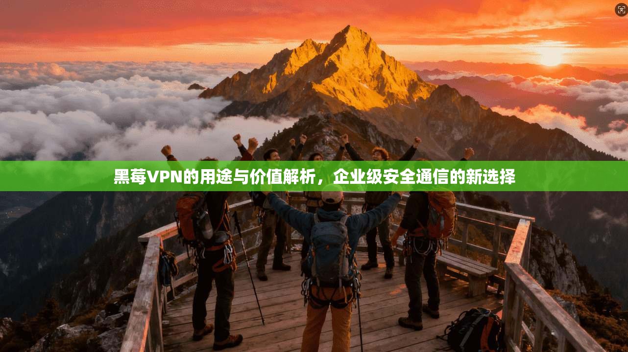 黑莓VPN的用途与价值解析，企业级安全通信的新选择