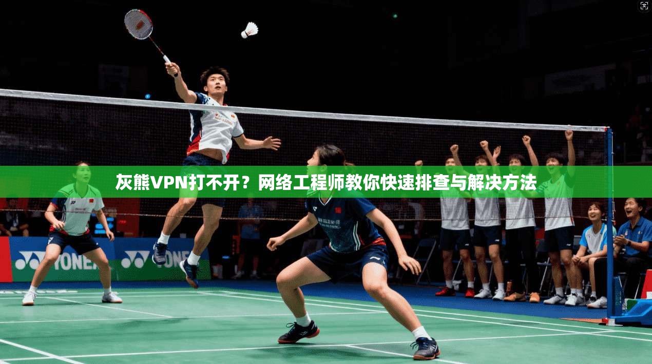 灰熊VPN打不开？网络工程师教你快速排查与解决方法