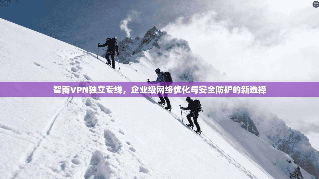 智雨VPN独立专线，企业级网络优化与安全防护的新选择