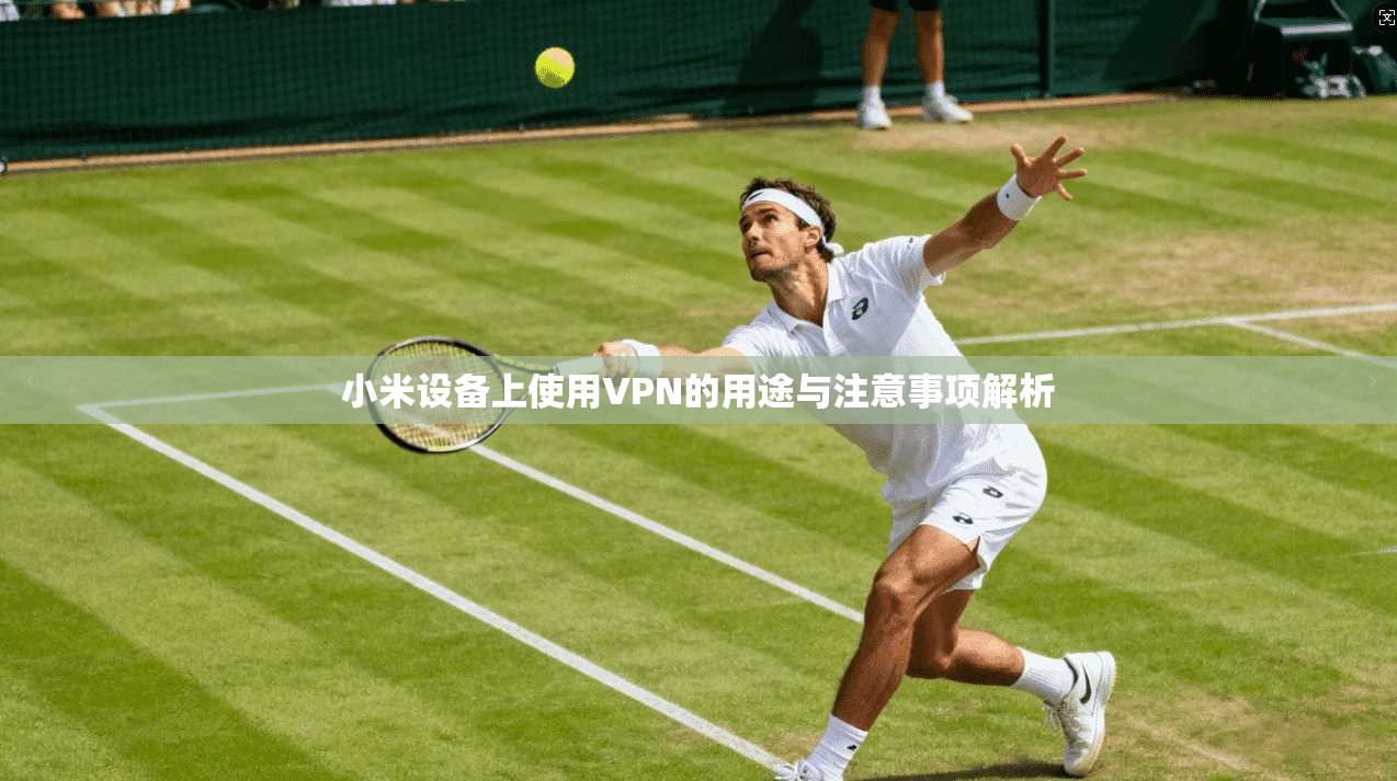 小米设备上使用VPN的用途与注意事项解析