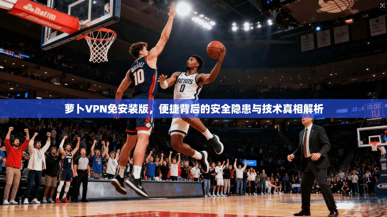 萝卜VPN免安装版，便捷背后的安全隐患与技术真相解析