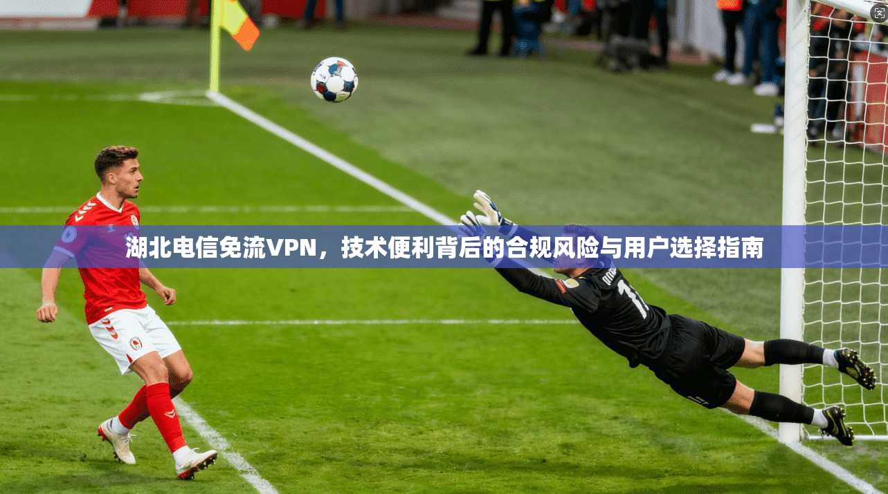 湖北电信免流VPN，技术便利背后的合规风险与用户选择指南