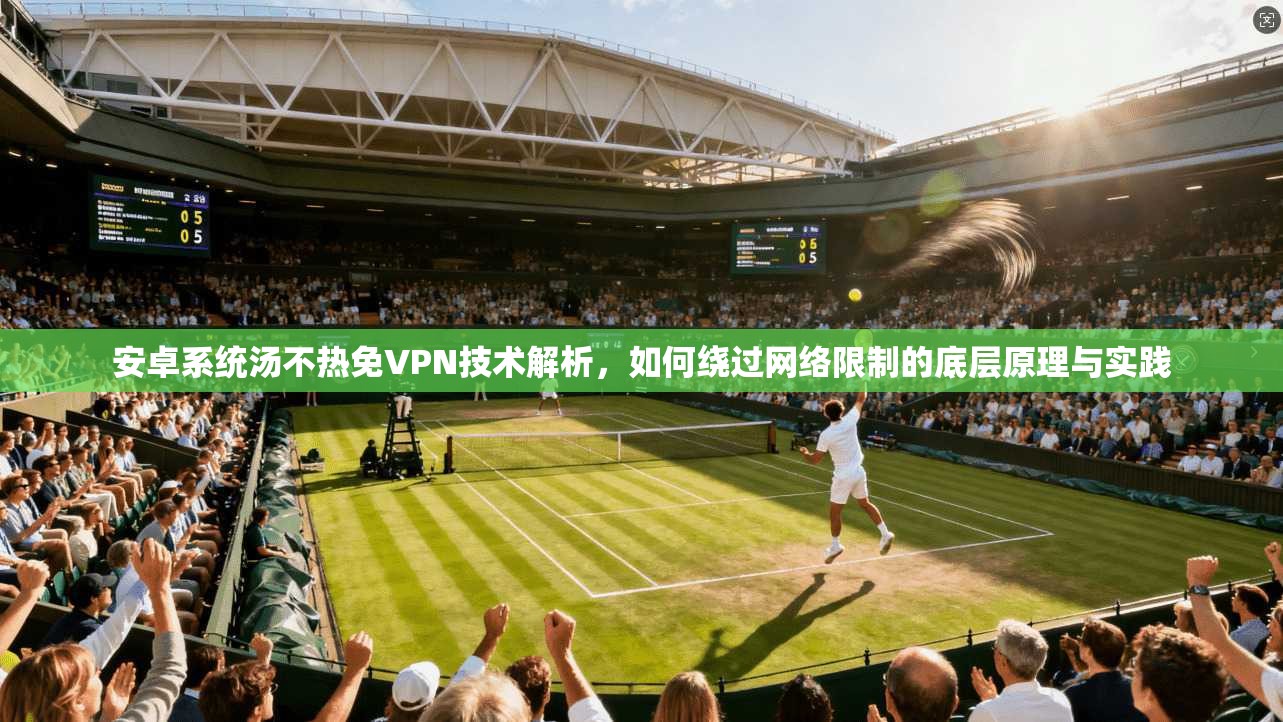 安卓系统汤不热免VPN技术解析，如何绕过网络限制的底层原理与实践