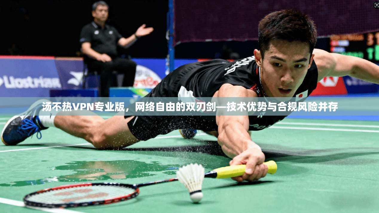 汤不热VPN专业版，网络自由的双刃剑—技术优势与合规风险并存