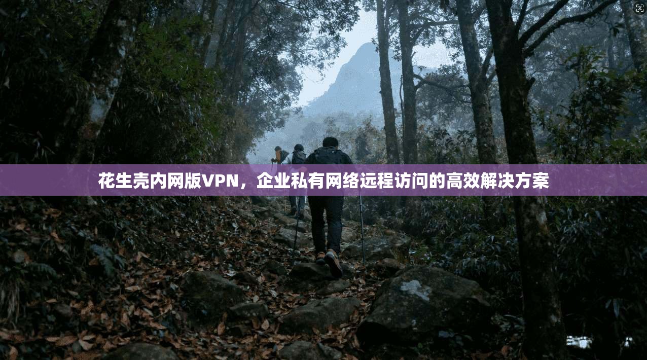 花生壳内网版VPN，企业私有网络远程访问的高效解决方案