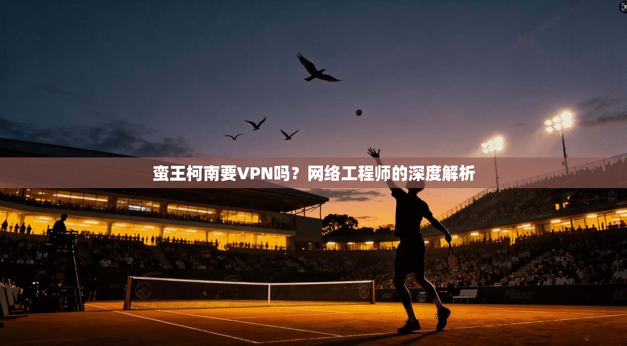 蛮王柯南要VPN吗？网络工程师的深度解析