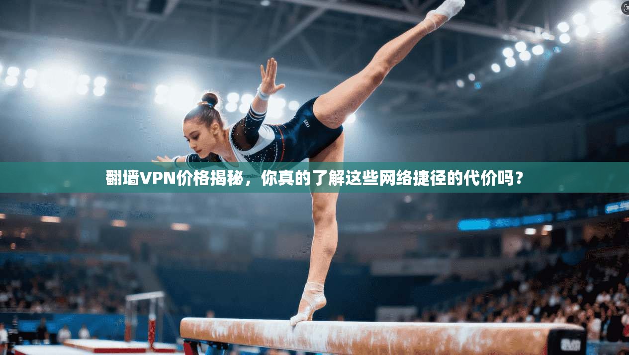 翻墙VPN价格揭秘，你真的了解这些网络捷径的代价吗？