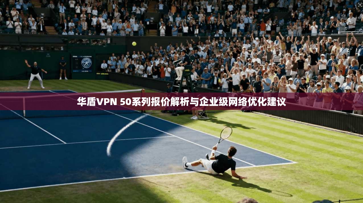 华盾VPN 50系列报价解析与企业级网络优化建议