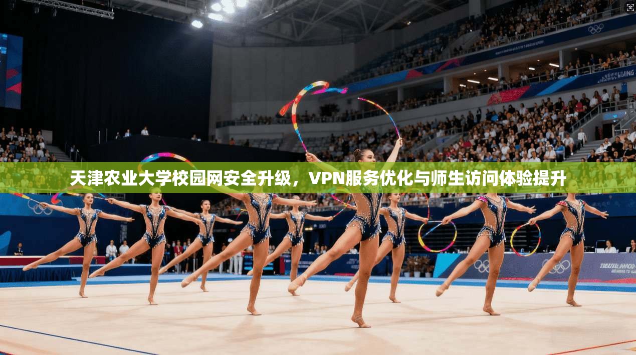 天津农业大学校园网安全升级，VPN服务优化与师生访问体验提升