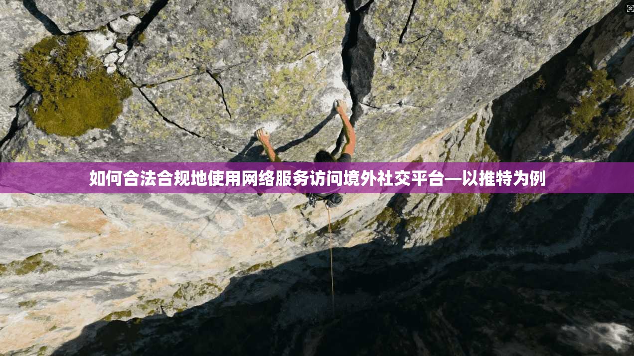 如何合法合规地使用网络服务访问境外社交平台—以推特为例