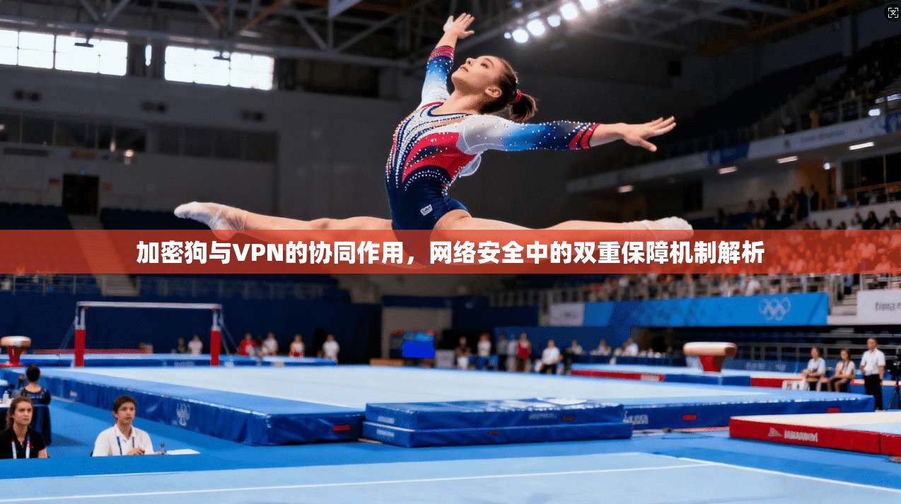 加密狗与VPN的协同作用，网络安全中的双重保障机制解析