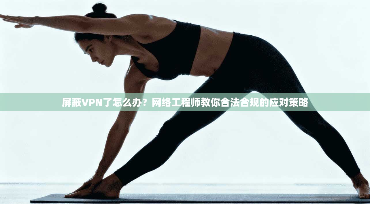 屏蔽VPN了怎么办？网络工程师教你合法合规的应对策略