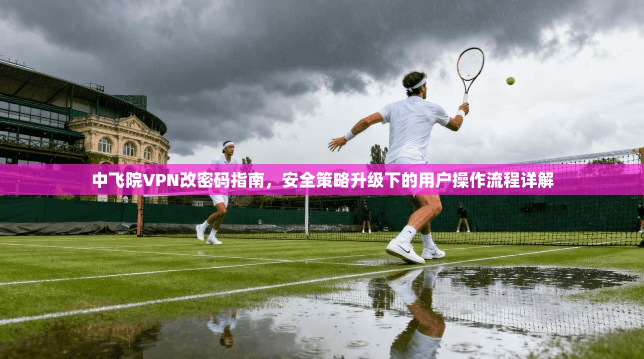 中飞院VPN改密码指南，安全策略升级下的用户操作流程详解