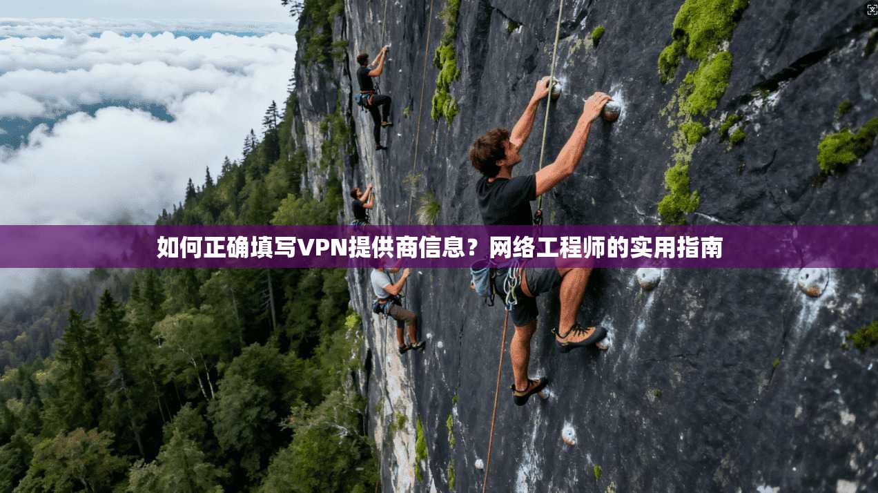 如何正确填写VPN提供商信息？网络工程师的实用指南