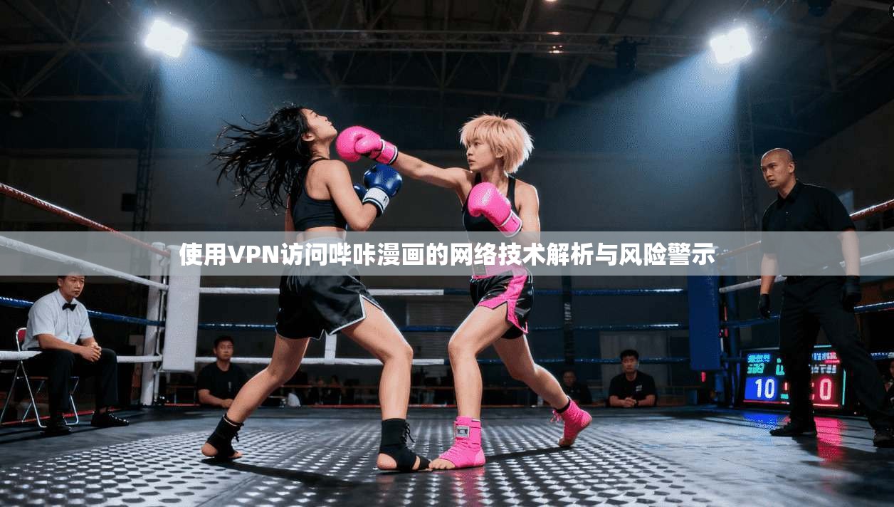 使用VPN访问哔咔漫画的网络技术解析与风险警示