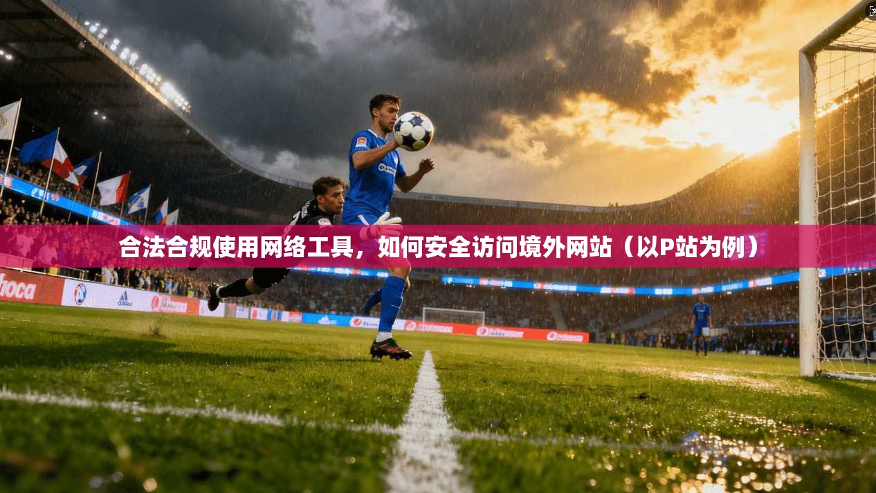 合法合规使用网络工具,如何安全访问境外网站(以P站为例)