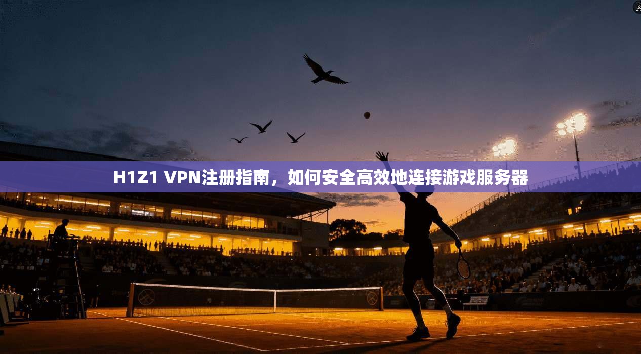 H1Z1 VPN注册指南，如何安全高效地连接游戏服务器