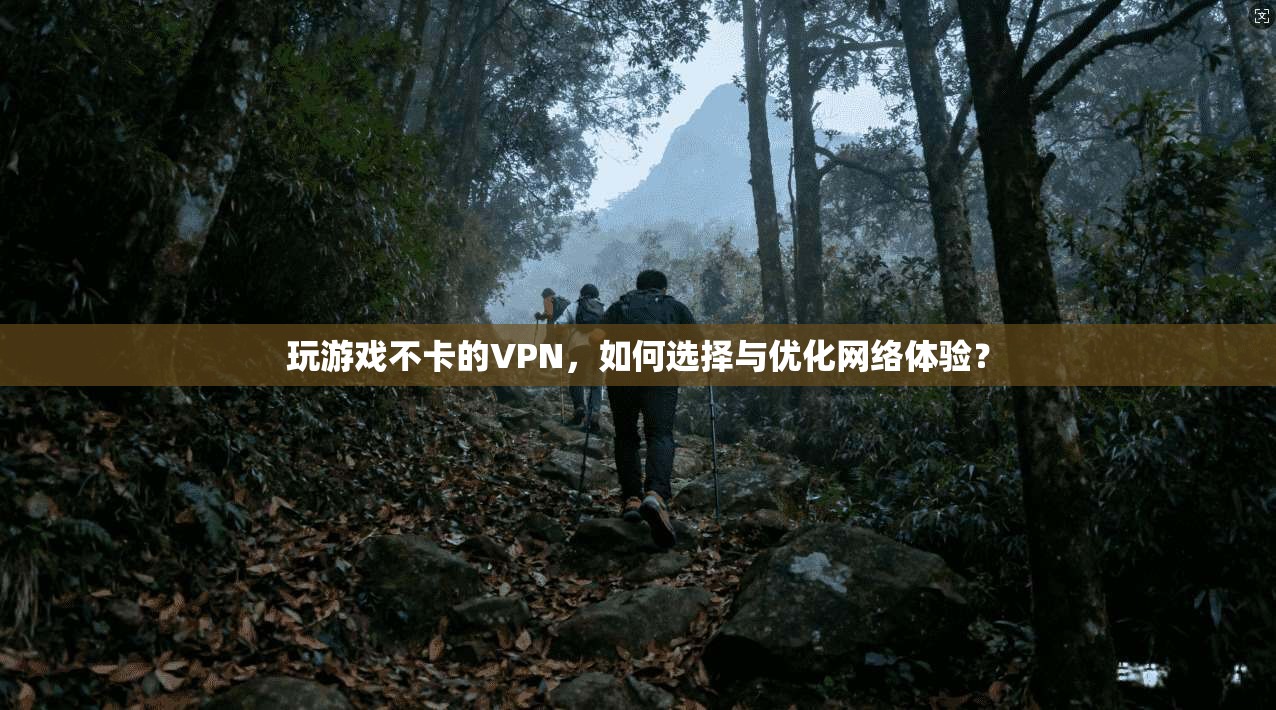 玩游戏不卡的VPN，如何选择与优化网络体验？