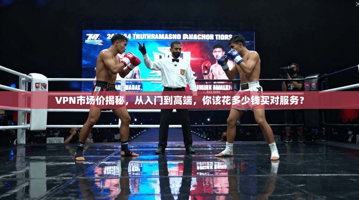 VPN市场价揭秘，从入门到高端，你该花多少钱买对服务？