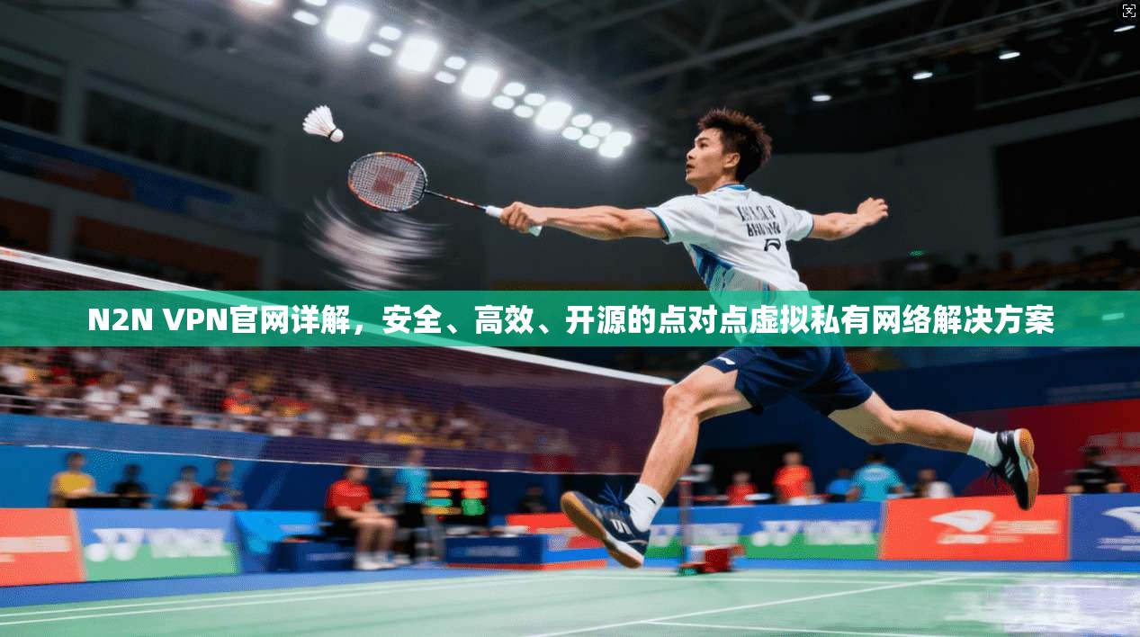 N2N VPN官网详解，安全、高效、开源的点对点虚拟私有网络解决方案