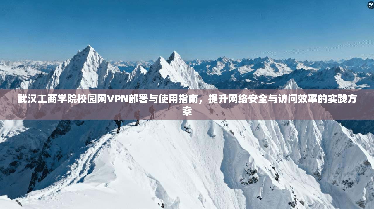 武汉工商学院校园网VPN部署与使用指南，提升网络安全与访问效率的实践方案