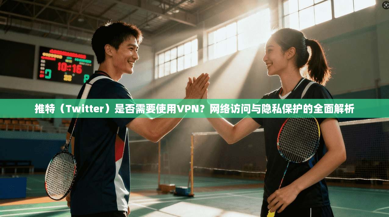 推特（Twitter）是否需要使用VPN？网络访问与隐私保护的全面解析