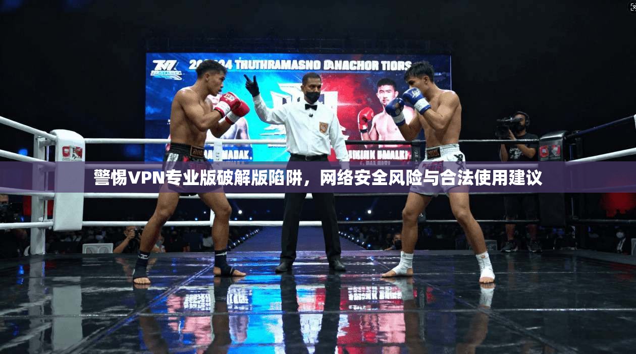 警惕VPN专业版破解版陷阱，网络安全风险与合法使用建议