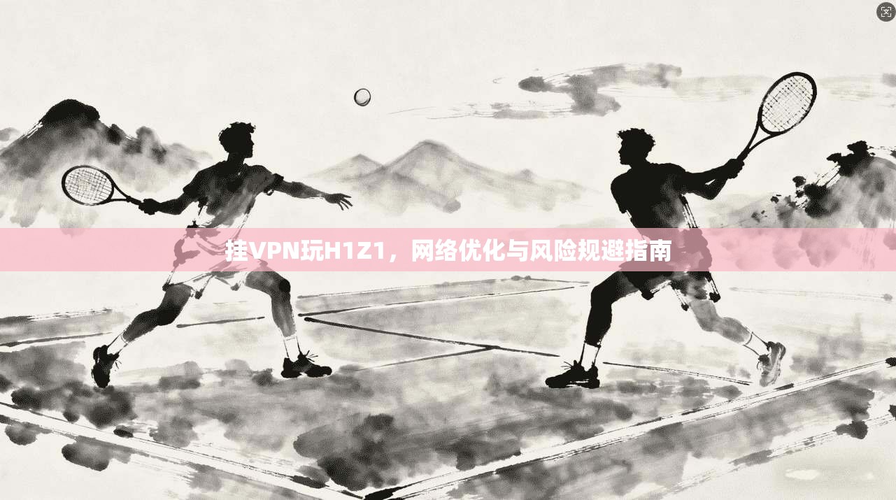 挂VPN玩H1Z1，网络优化与风险规避指南