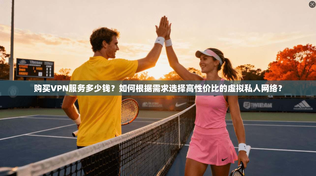 购买VPN服务多少钱？如何根据需求选择高性价比的虚拟私人网络？
