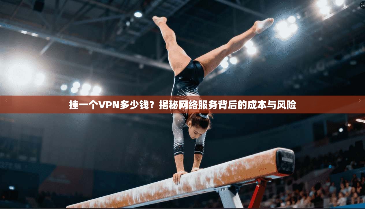 挂一个VPN多少钱？揭秘网络服务背后的成本与风险