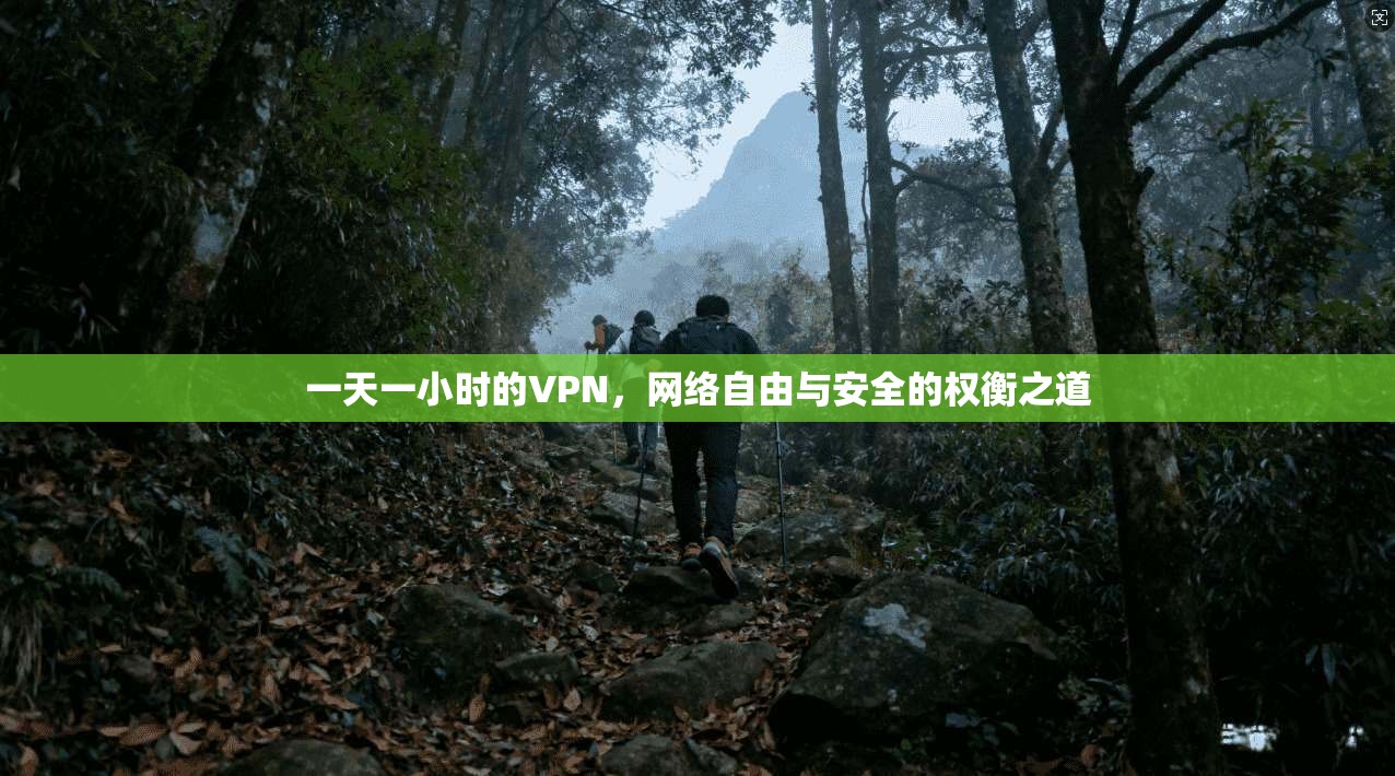 一天一小时的VPN，网络自由与安全的权衡之道