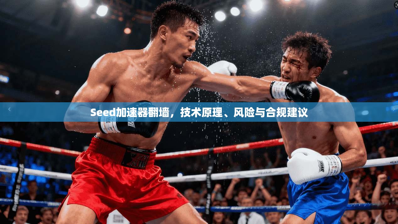 Seed加速器翻墙，技术原理、风险与合规建议