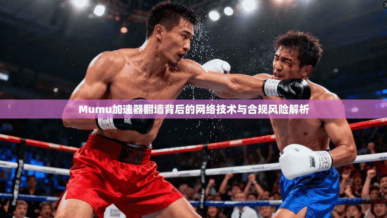 Mumu加速器翻墙背后的网络技术与合规风险解析