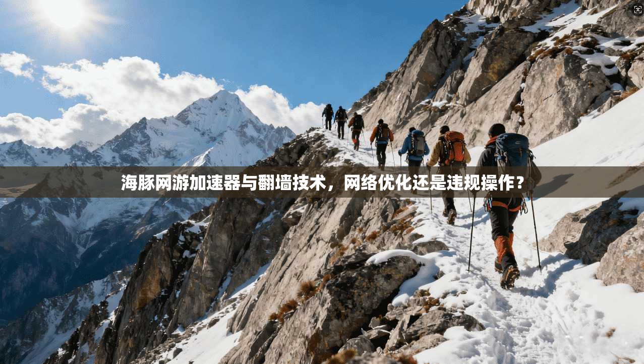 海豚网游加速器与翻墙技术，网络优化还是违规操作？