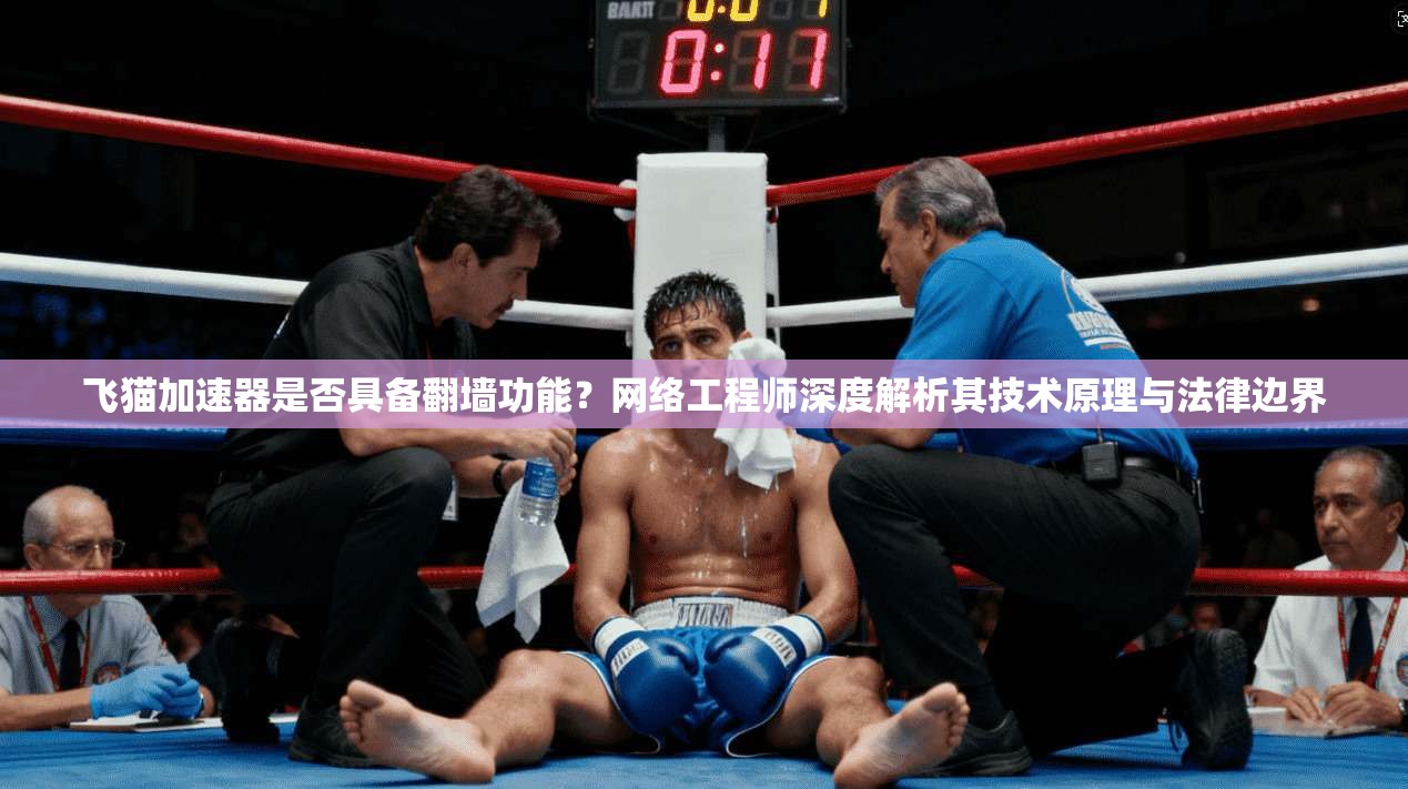 飞猫加速器是否具备翻墙功能？网络工程师深度解析其技术原理与法律边界