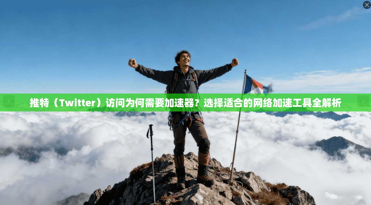 推特（Twitter）访问为何需要加速器？选择适合的网络加速工具全解析