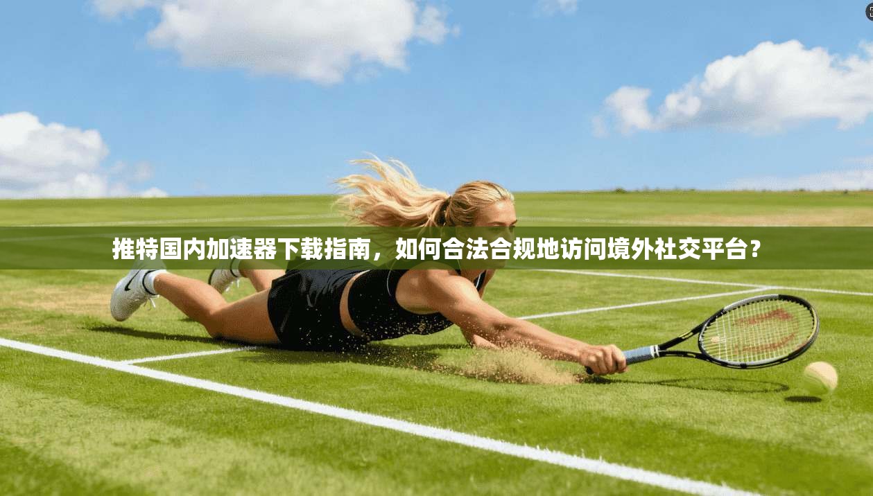 推特国内加速器下载指南，如何合法合规地访问境外社交平台？
