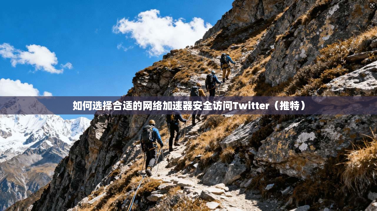 如何选择合适的网络加速器安全访问Twitter（推特）