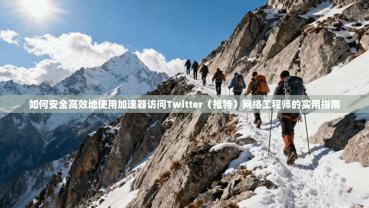 如何安全高效地使用加速器访问Twitter（推特）网络工程师的实用指南