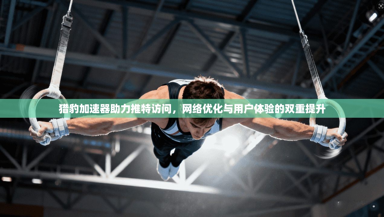 猎豹加速器助力推特访问，网络优化与用户体验的双重提升