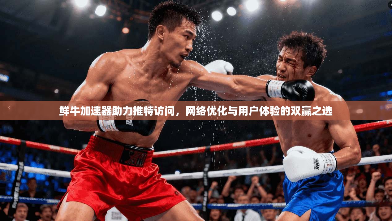 鲜牛加速器助力推特访问，网络优化与用户体验的双赢之选