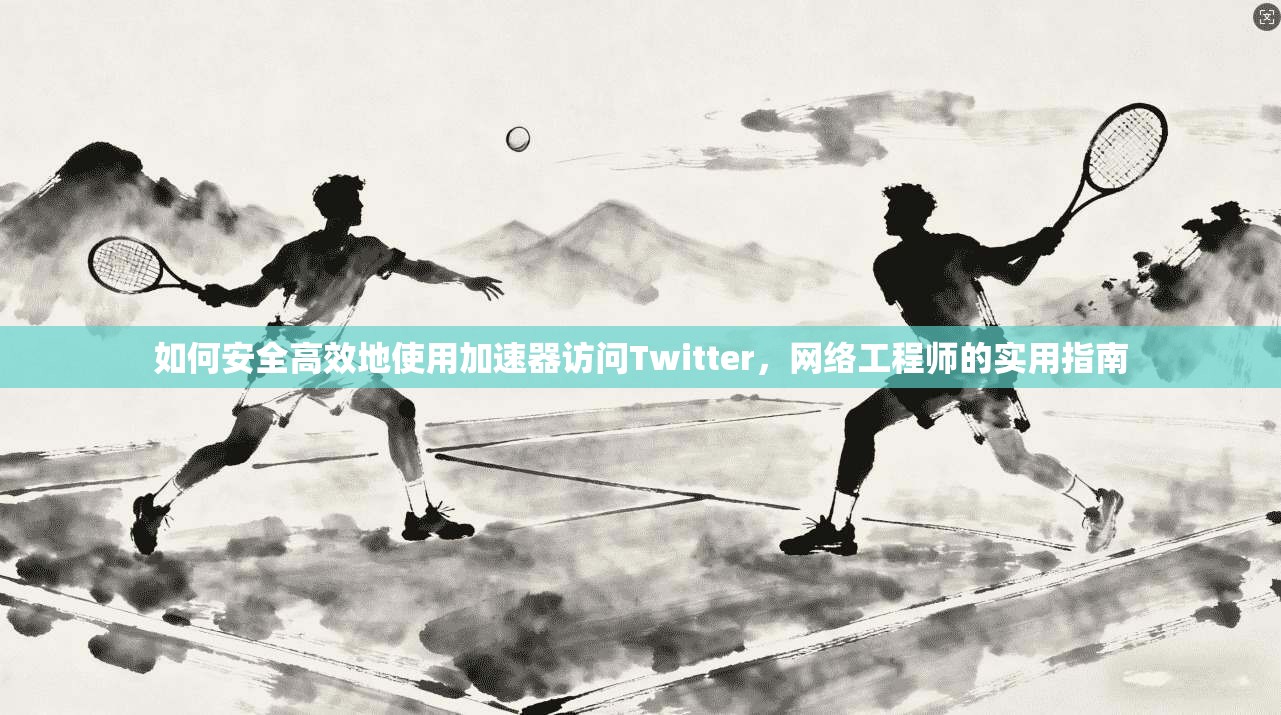 如何安全高效地使用加速器访问Twitter，网络工程师的实用指南